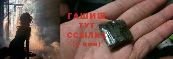 индика Абинск
