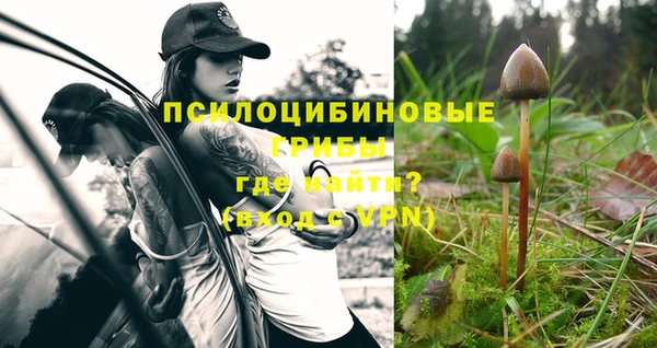 индика Абинск