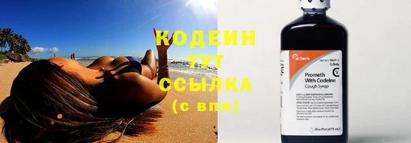 индика Абинск