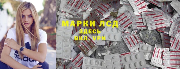 индика Абинск