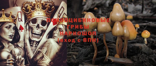 индика Абинск