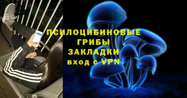 спиды Алзамай