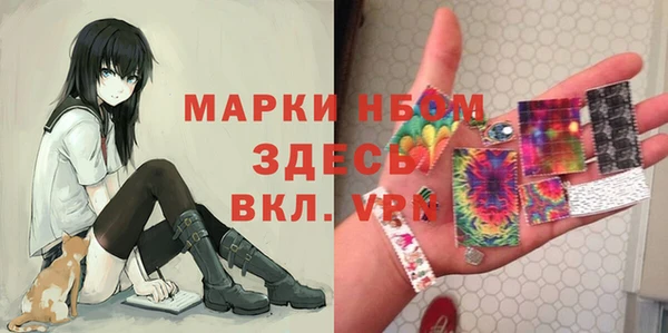 индика Абинск